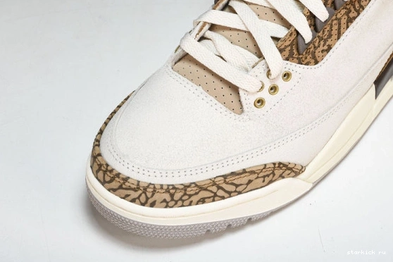 Retro Jordan  3  CT8532-102 Palomino CT8532-102 0925